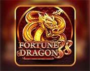 FORTUNE DRAGON 88 MC